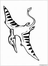 Dimorphodon sketch template
