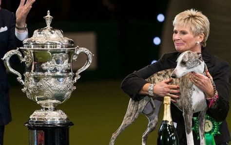 puppy prizes   popular breeds         show winners