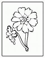 Flower Blume Pintarcolorir Coloringhome Popular sketch template