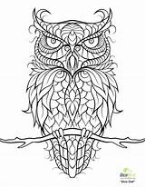Pages Coloring Owl Abstract Getdrawings sketch template