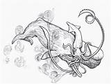 Squid Whale Vs Getdrawings Drawing sketch template