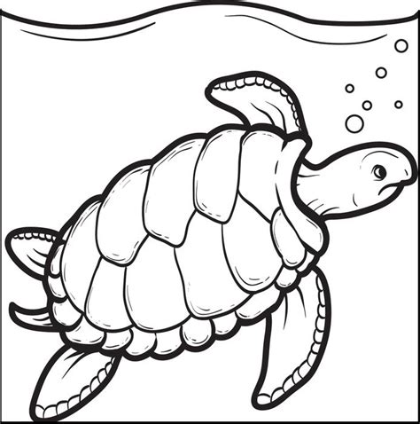 sea turtle drawing  kids  getdrawings