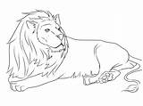 Lion Coloring Pages Printable Lions Animals Template Drawing Print Animal Color Easy Down Templates Kids Lying High Mouse Draw Nittany sketch template