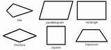 Quadrilaterals Shapes 2d Worksheet Names Their Know Identify sketch template