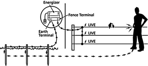 electric fence circuit diagram   elle circuit