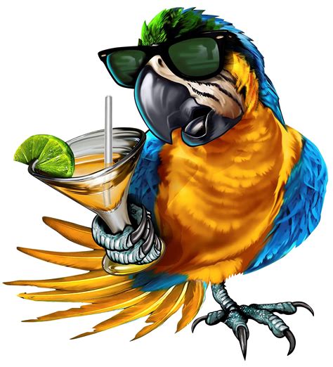 full color drinking parrot  drinking parrot image etsy   parrots art parrot