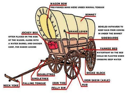 horse drawn wagon parts diagram