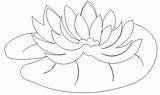 Lily Pad Coloring Water Pages Calla Pads Print Lilies Color Drawings Printable Size Getcolorings Colorluna sketch template