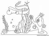 Ocean Coloring Pages Sea Under Kids Underwater Plants Printable Animals Ecosystem Clipart Drawing Color Scene Marine Aquatic Sheets Print Plankton sketch template