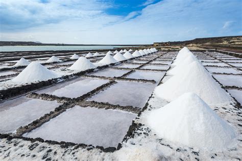 harvesting salt   ocean  great skill  learn outdoor revival