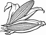 Coloring Thanksgiving Maize sketch template
