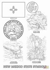 Coloring Mexico State Tree Pages Symbols Popular Printable Library sketch template