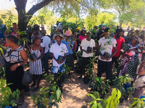 plant  tree project launched  ohangwena truth    sake
