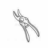 Pruning Shears Outline Garden Illustration Dreamstime Secateurs Pruners Icon Vector Hand Illustrations Vectors Royalty Trimming sketch template