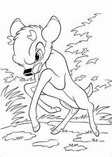 Bambi Ronno Pobarvanke Pobarvanka Pianetabambini Bambi2 Aladdin Coloriez Scrivi Commento sketch template