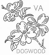 Dogwood Coloring Embroidery Flower Patterns Virginia Pages Flowers Printable Quilts Quilt Flickr Getcolorings State Hand States Floral Block Getdrawings Choose sketch template
