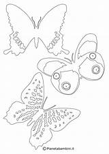 Farfalle Sagome Sagoma Ritagliare Semplici Stampare Pianetabambini sketch template