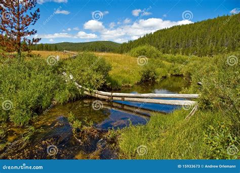 fence  creek stock  image