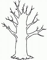 Trunk Winter Trees Popular Coloringhome sketch template