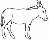 Donkey Websincloud sketch template