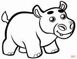 Coloring Hippo Hippopotamus Cute Baby Pages Clipart Printable Cartoon Drawing Animals Webstockreview Categories sketch template