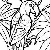 Coloring Parrot Pages Bird Clipart Animals Jungle Sheet Kids Wild Clipground 20pages 20coloring sketch template