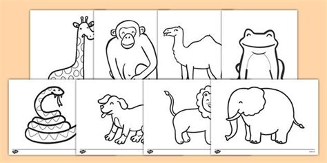 dear zoo colouring sheets dear zoo kindergarten coloring pages zoo