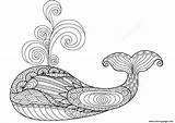 Zentangle Coloring Pages Whale Adults Printable Color Print Paper Info sketch template