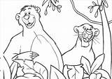 Baloo Jungle Book Mowgli Pages Bagheera Coloring Colorare Disegni Da Printable Color Colouring Disney Di Drawings Books Illustration Sheets Online sketch template