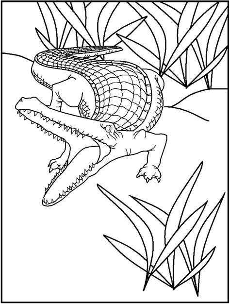animals coloring pages birthday printable