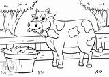 Cow Kuh Ausdrucken Weide Schaf Heu Colorings sketch template