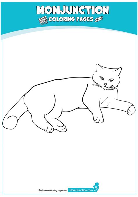 print coloring image momjunction coloring pages cat coloring page mom