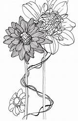 Drawing Line Flower Drawings Simple Flowers Botanical Clip Dahlias Dahlia Floral Illustration Illustrations Sketches Coloring Nature Getdrawings Choose Board sketch template