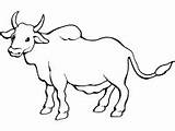 Zebu Coloring Pages Printable Activities sketch template