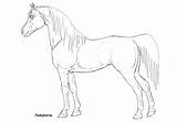 Horse Shire Coloring Pages Arabian Printable Kids Mare Lineart Getcolorings Getdrawings sketch template