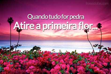 frases de flores diversas frases de flor pra voce se