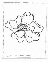 Coloring Pages Sea Anemone Flower Single Getdrawings Getcolorings sketch template