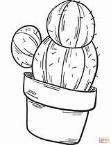 Cactus Coloring Potted Pages Printable Supercoloring Categories sketch template