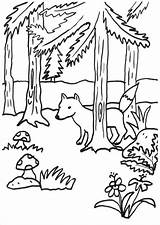 Fuchs Malvorlage Ausdrucken Malvorlagen Füchse Fuchse Malen sketch template
