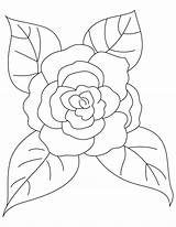 Camellia Coloring Leaves Four Pages Bestcoloringpages Drawings sketch template