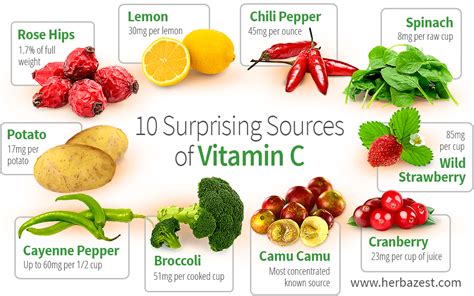 surprising sources  vitamin  herbazest