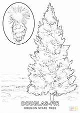 Coloring Shrub Getcolorings Color Tree Christmas sketch template