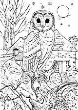 Owl Barn Line Drawing Getdrawings sketch template