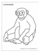 Chimpanzee Designlooter sketch template