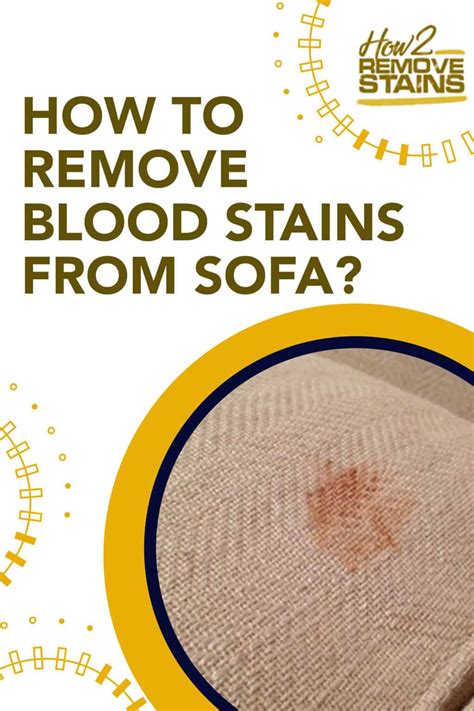 remove blood stains   sofa detailed answer