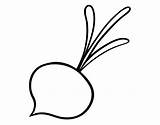 Coloringcrew Beetroot Little Coloring sketch template