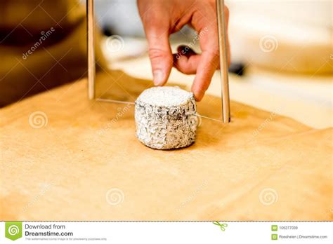 cutting cheese  slicer stock image image  slice