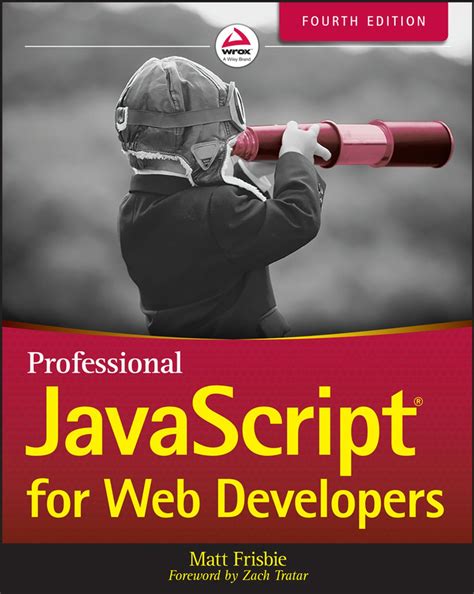 professional javascript  web developers  edition