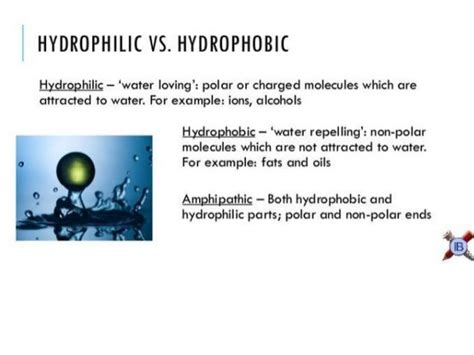 hydrophobic  hydrophilic