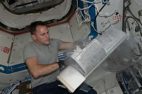 astronaut josh cassada stows blood samples   scienc flickr